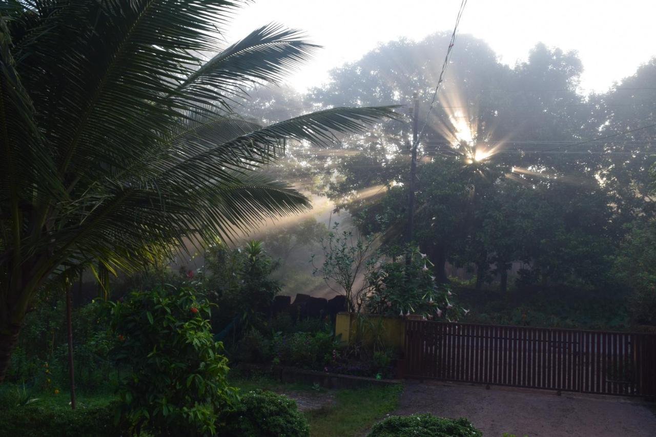 Ibbani Homestay, Siddapur Esterno foto