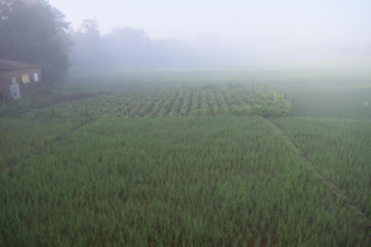 Ibbani Homestay, Siddapur Esterno foto