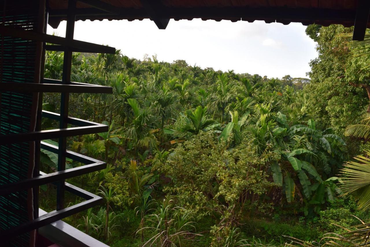 Ibbani Homestay, Siddapur Esterno foto
