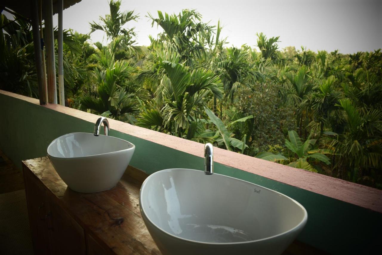 Ibbani Homestay, Siddapur Esterno foto
