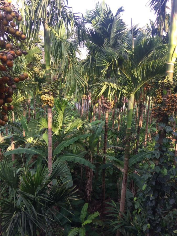 Ibbani Homestay, Siddapur Esterno foto